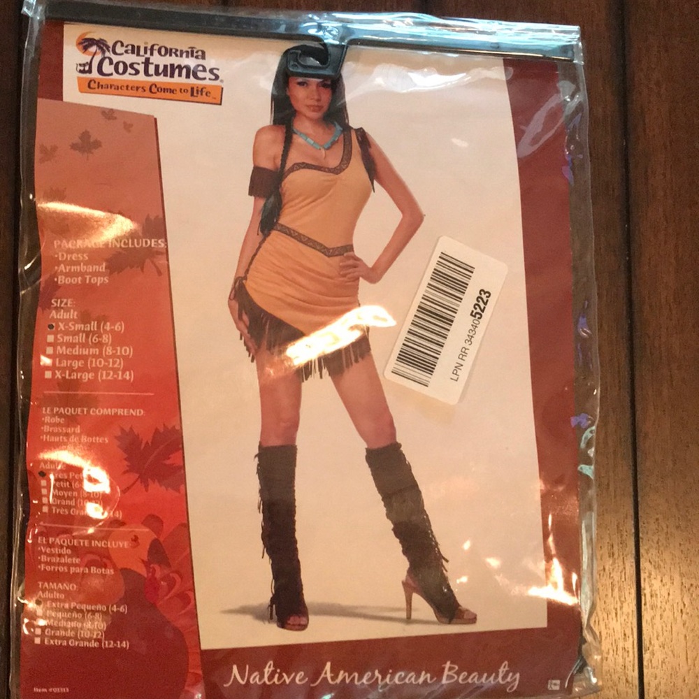 Native American Beauty Halloween costume
